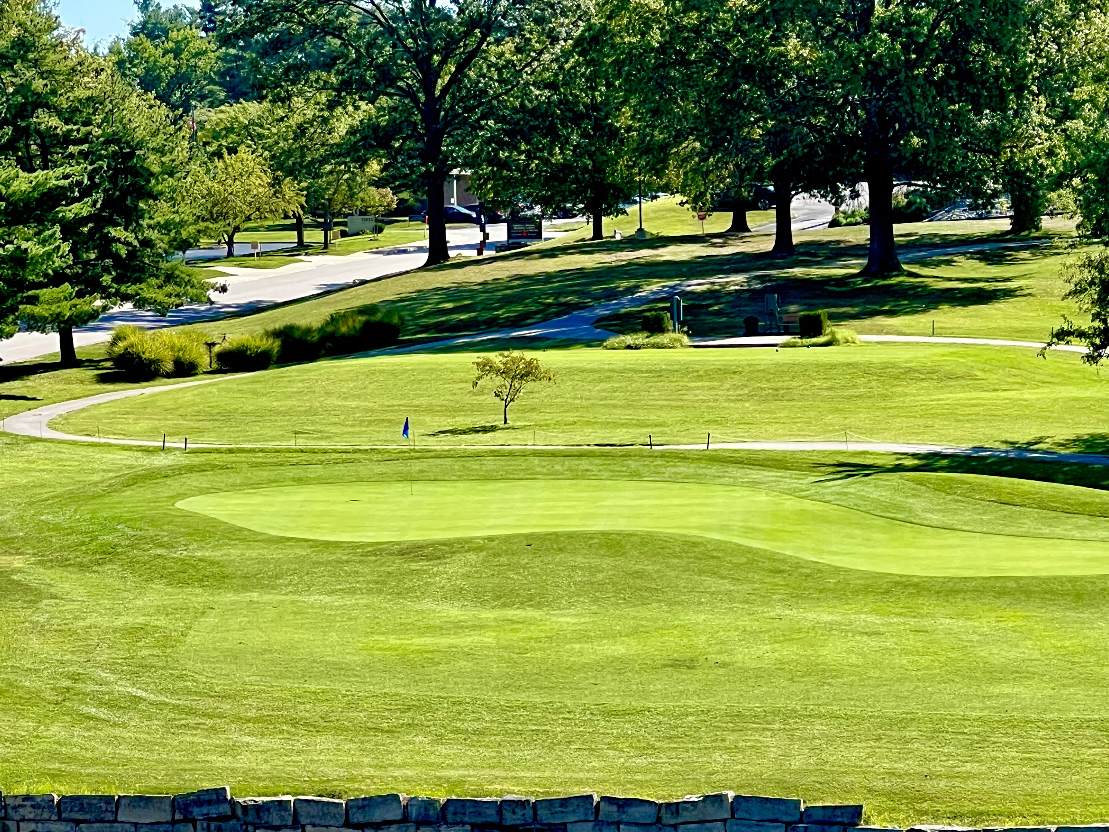 Image of golf ball on tee on grass.