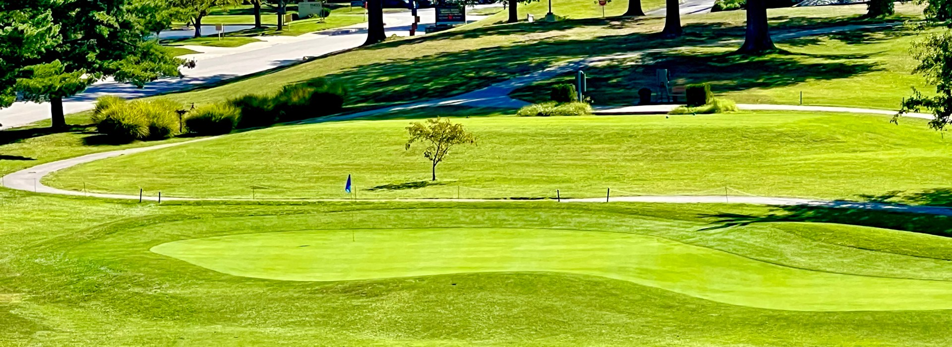 Golf course green